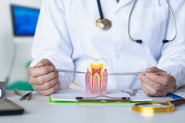 Best Emergency Root Canal Treatment in Harrisville, PA